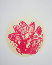 Untitled  (Pink on Yellow)| Polly Yates