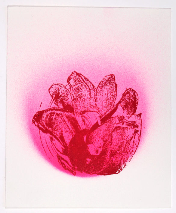 Untitled (Pink on Pink) | Polly Yates