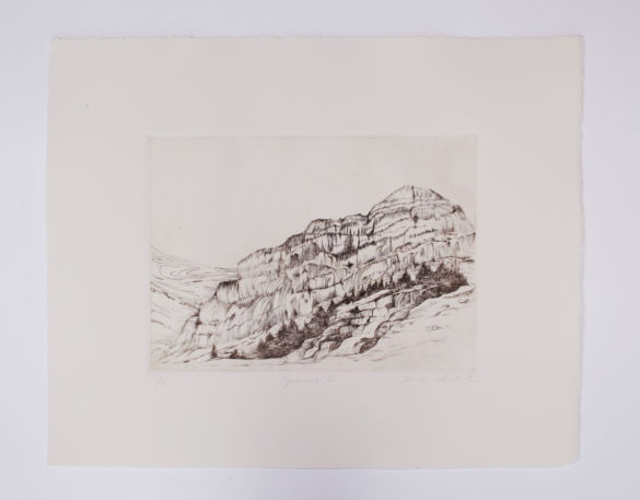 Pyrenees II | Hannah Ireland