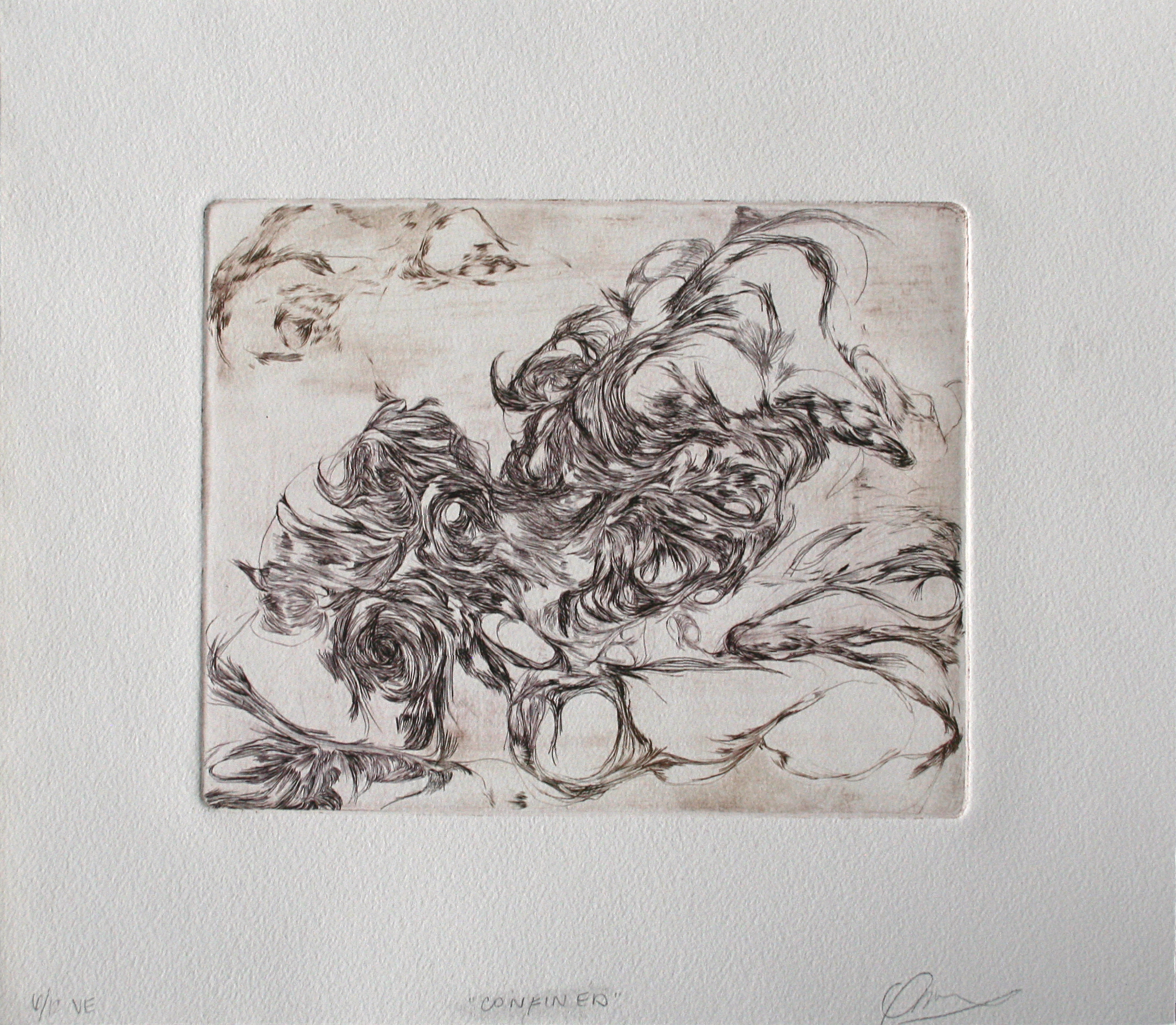 Devin Owsley-Aquilia, Confined