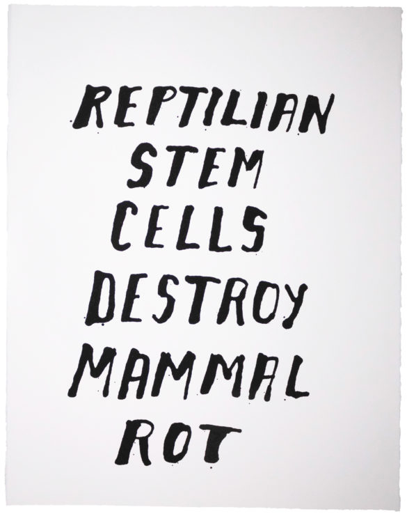 Reptilian Stem Cells Destroy Mammal Rot | Steve Reinke (black)