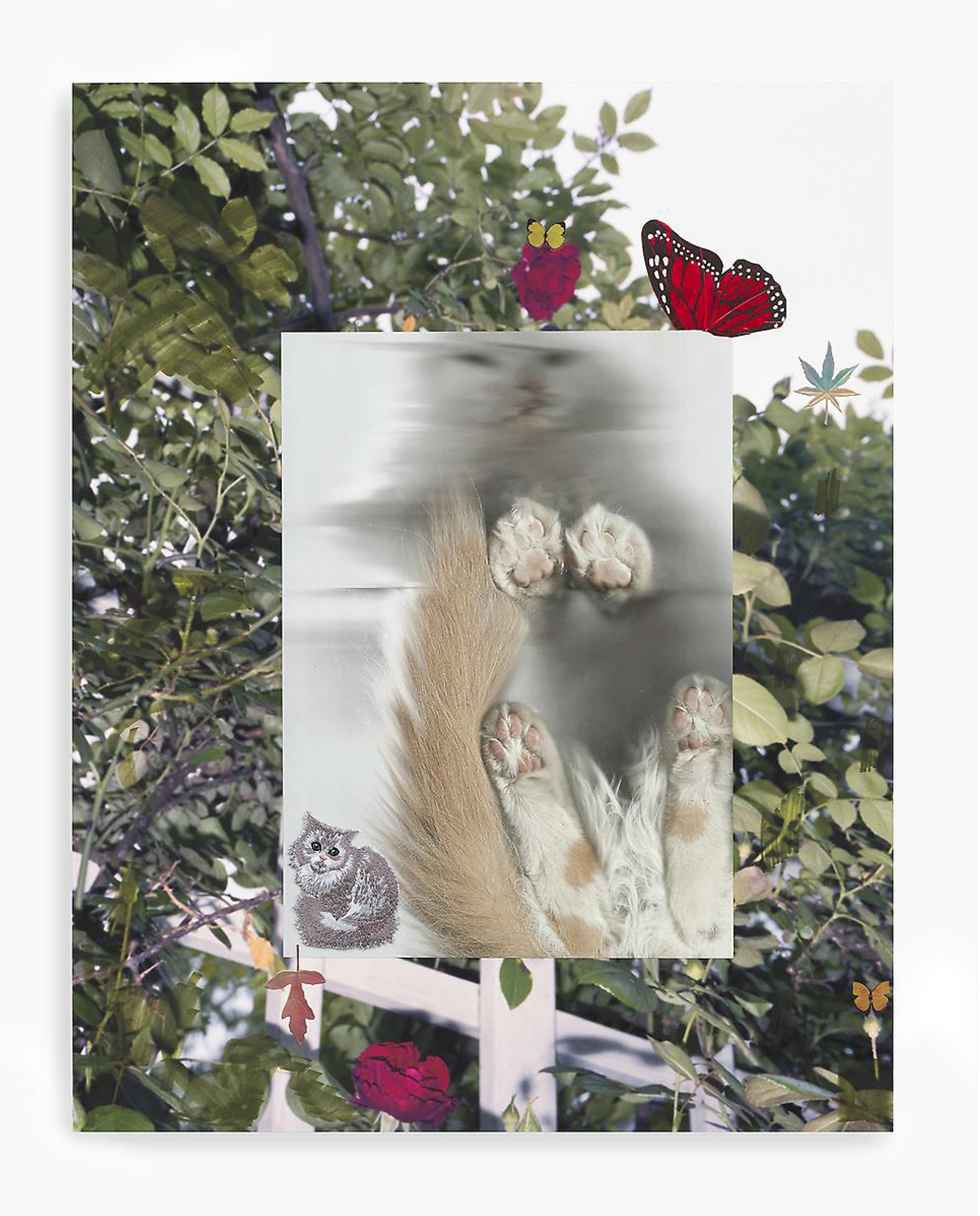 Erin Jane Nelson, Catscanned Pussyfly