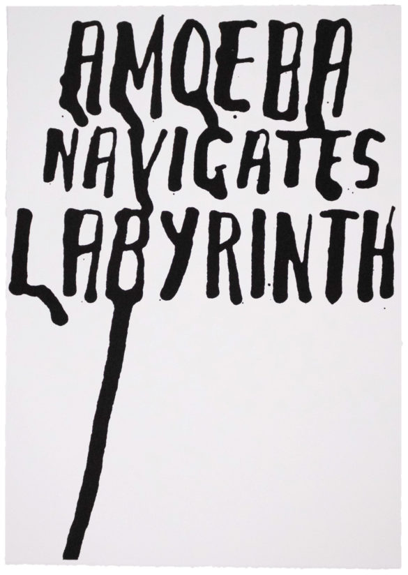 Amoeba Navigates Labyrinth | Steve Reinke (black)