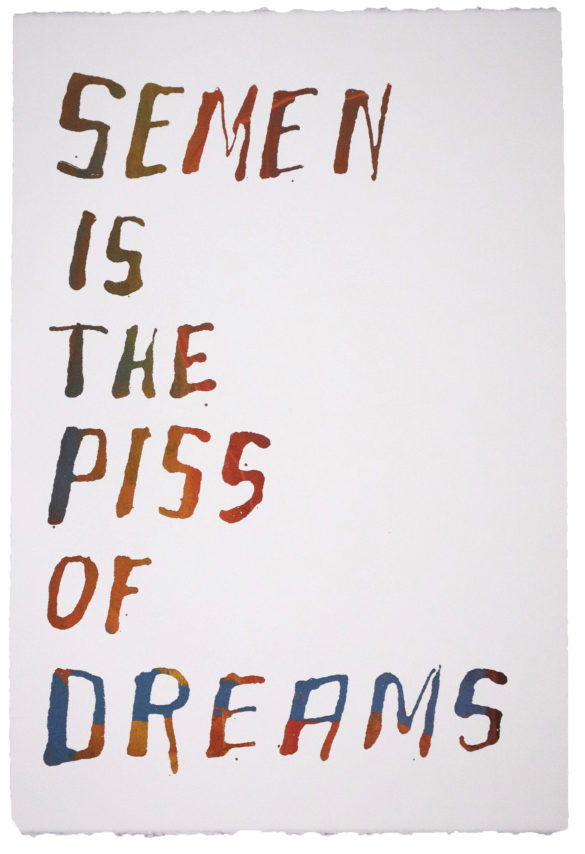 Semen is the Piss of Dreams | Steve Reinke (color)