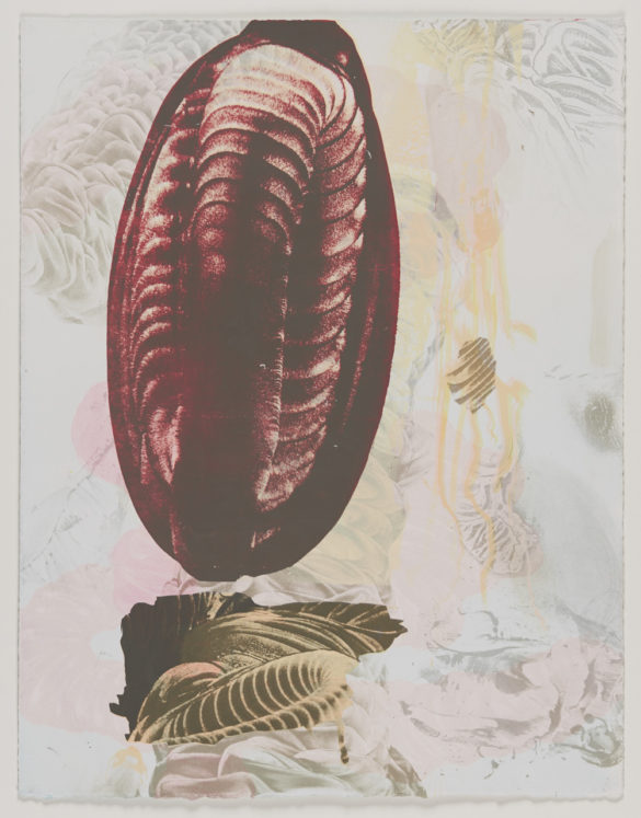 Trilobite No. 4 | Tom Christison