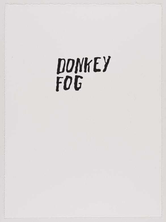 Donkey Fog | Steve Reinke (black)