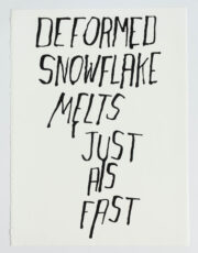 Deformed Snowflake Melts Just as Fast | Steve Reinke (black)