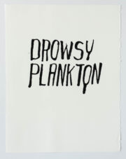 Drowsy Plankton | Steve Reinke