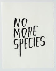 More Species | Steve Reinke