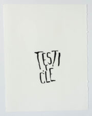 Testicle | Steve Reinke (black)