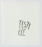 Testicle | Steve Reinke (color)