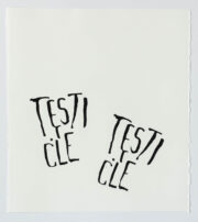 Testicle x Two | Steve Reinke