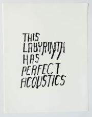 This Labyrinth has Perfect Acoustics | Steve Reinke (black)