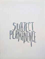 Subject Permanence | Steve Reinke