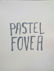 Pastel Fovea | Steve Reinke