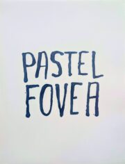 Pastel Fovea | Steve Reinke