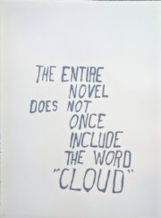 The Entire Novel | Steve Reinke