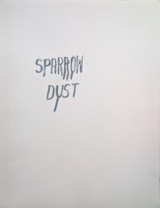 Sparrow Dust | Steve Reinke