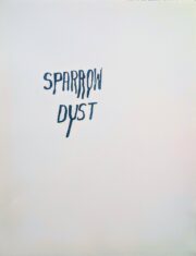 Sparrow Dust | Steve Reinke